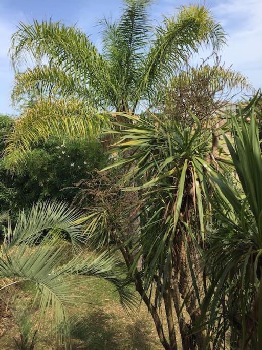 Mare E Monte , Jardin Mediterraneen Et Exotique. 吉索纳恰 外观 照片